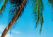 00241 close up Ile Tropicale 6a6ef528 e763 4747 90eb 69ed570bd959 | Yourdecoration.de