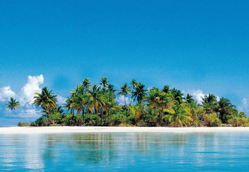 Wizard+Genius A Perfect Day Fototapete 366x254cm | Yourdecoration.de