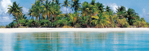 00369 close up Maldive Island ccff3487 2ff3 4823 bdd7 186b99e2af08 | Yourdecoration.de