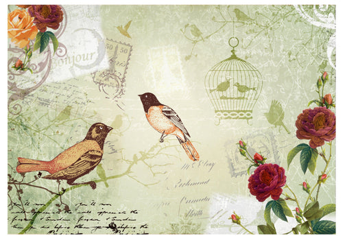 Fototapete - Vintage Birds - Vliestapete