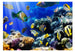 Fototapete - Underwater Adventure - Vliestapete