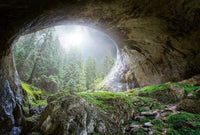 Wizard+Genius Cave In The Forest Vlies Fototapete 384x260cm 8 bahnen | Yourdecoration.de