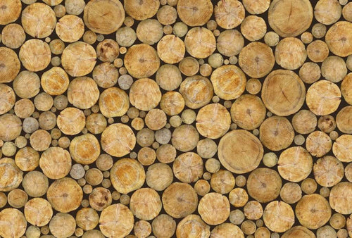 Wizard+Genius Logs Vlies Fototapete 384x260cm 8 bahnen | Yourdecoration.de