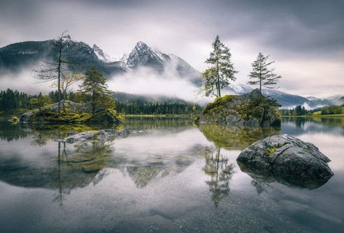 Wizard+Genius Foggy Day Vlies Fototapete 384x260cm 8 bahnen | Yourdecoration.de