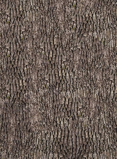 Wizard+Genius Bark Wall Vlies Fototapete 192x260cm 4 bahnen | Yourdecoration.de