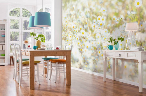 Komar Daisies Fototapete 368x254cm | Yourdecoration.de