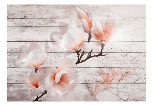 Fototapete - Subtlety of the Magnolia - Vliestapete