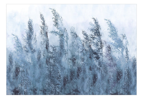 Fototapete - Tall Grasses Grey - Vliestapete