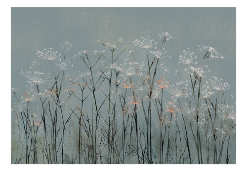 Fototapete - Garlic Flowers - Vliestapete