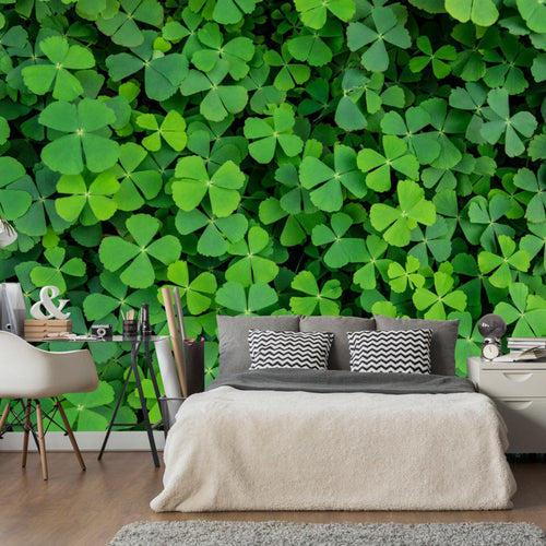 Fototapete - Green Clover - Vliestapete