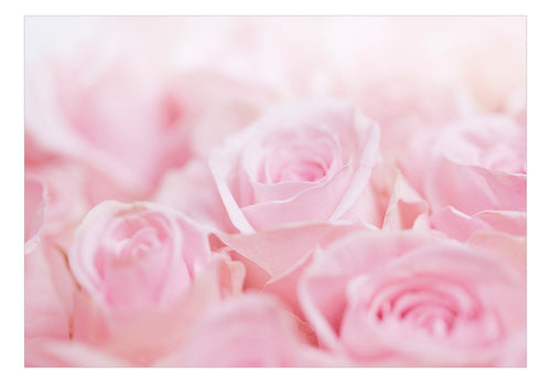 Fototapete - Ocean of Roses - Vliestapete