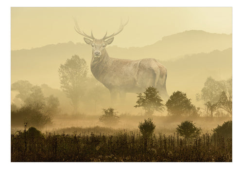 Fototapete - Dreamlike Image - Vliestapete