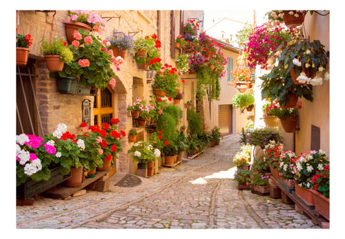 Fototapete - The Alley in Spello Italy - Vliestapete
