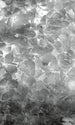 Dimex Apple Tree Abstract II Fototapete 150x250cm 2 bahnen | Yourdecoration.de