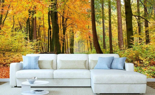 Dimex Autumn Forest Fototapete 375x250cm 5 Bahnen Sfeer | Yourdecoration.nl