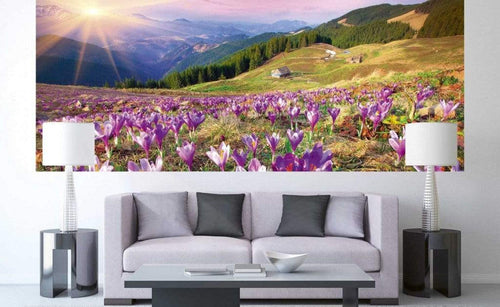 Dimex Crocuses at Spring Fototapete 375x150cm 5 Bahnen Sfeer | Yourdecoration.nl