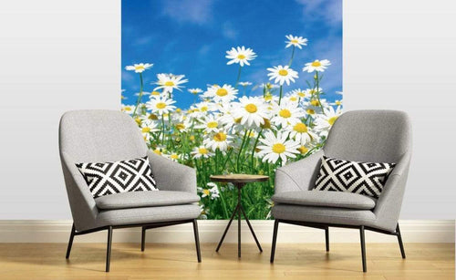 Dimex Daisies Fototapete 225x250cm 3 Bahnen Sfeer | Yourdecoration.nl