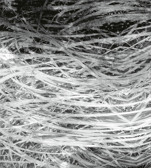 Dimex Hay Abstract II Fototapete 225x250cm 3 bahnen | Yourdecoration.de