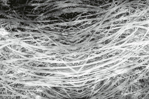 Dimex Hay Abstract II Fototapete 375x250cm 5 bahnen | Yourdecoration.de