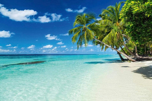 Dimex Paradise Beach Fototapete 375x250cm 5 Bahnen | Yourdecoration.de