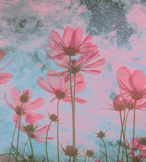 Dimex Pink Flower Abstract Fototapete 225x250cm 3 bahnen | Yourdecoration.de
