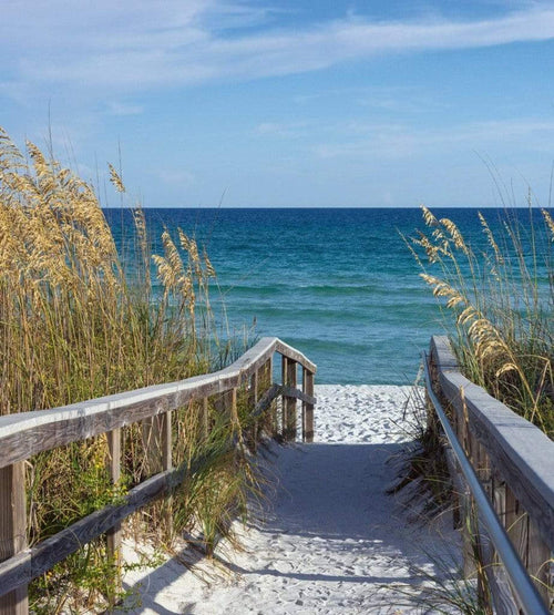 Dimex Sandy Boardwalk Fototapete 225x250cm 3 Bahnen | Yourdecoration.de