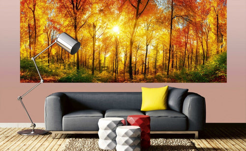 Dimex Sunny Forest Fototapete 375x150cm 5 Bahnen Interieur | Yourdecoration.de