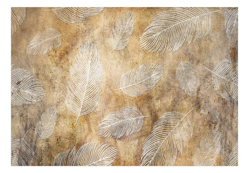 Fototapete - Flying Feathers - Vliestapete