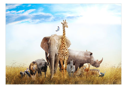 Fototapete - Fauna of Africa - Vliestapete