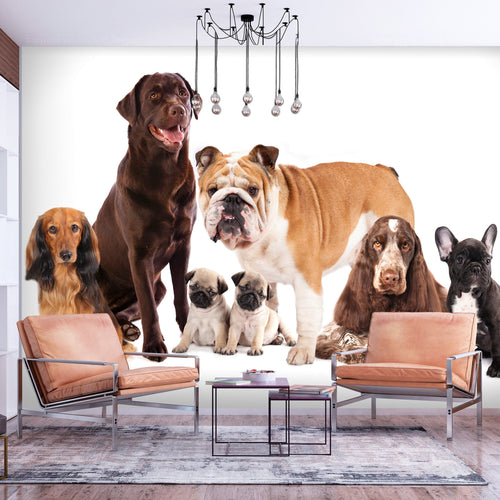 Fototapete - Dog Integration - Vliestapete