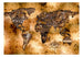 Fototapete - Opalescent Continents - Vliestapete