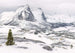 Komar White Enchanted Mountains Vlies Fototapete 400x280cm 8 Bahnen | Yourdecoration.de