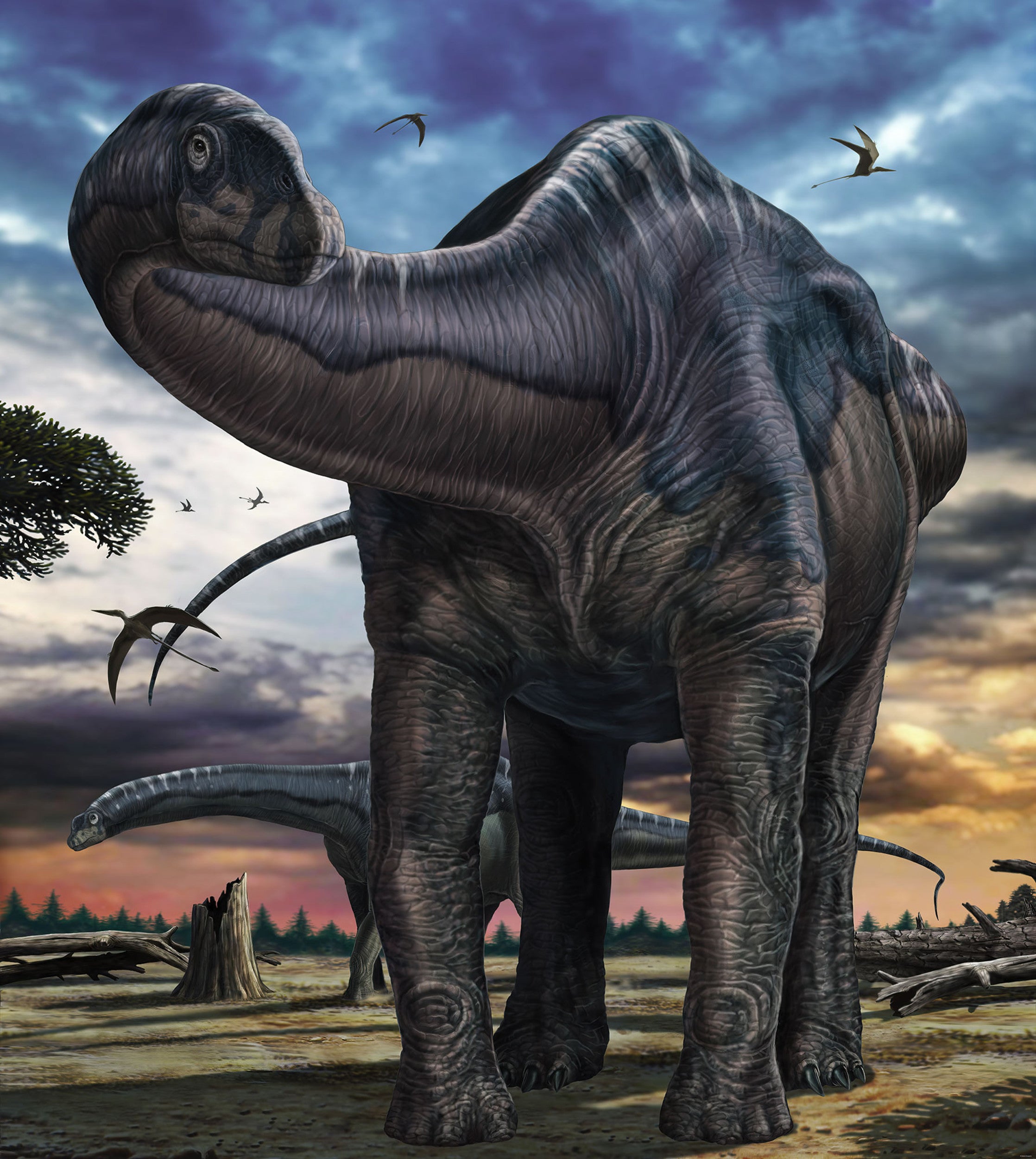 Fototapete Argentinosaurus 250x280cm