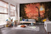 Komar Vlies Fototapete Iax10 0021 Brachiosaurus Panorama Interieur | Yourdecoration.at