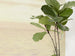 Komar Vlies Fototapete Inx6 064 Fernweh Detail | Yourdecoration.at