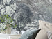 Komar Vlies Fototapete R4 060 Fairytale Forest Int Detail | Yourdecoration.at