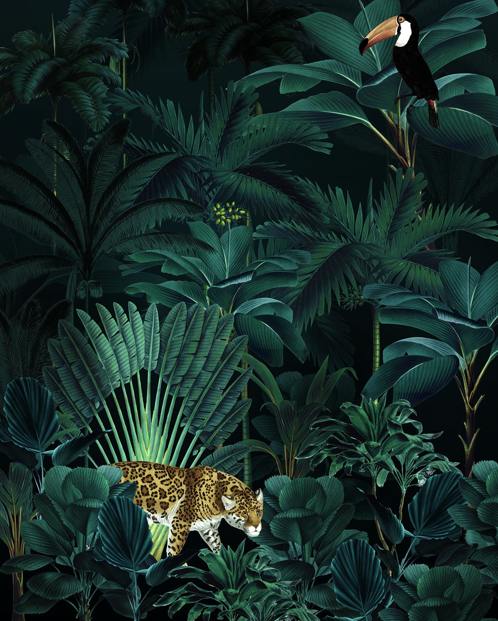 Fototapete Jungle Night 200x250cm
