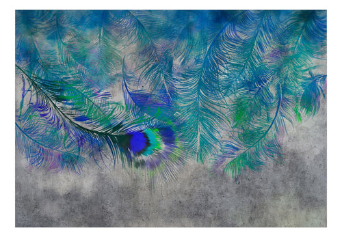 Fototapete - Peacock Feathers - Vliestapete