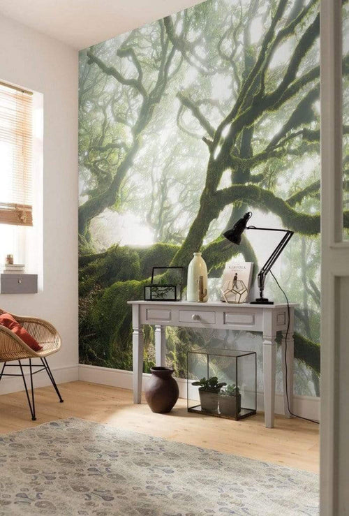 Komar The Forgotten Forest Vlies Fototapete 400x250cm 4 bahnen Sfeer | Yourdecoration.de
