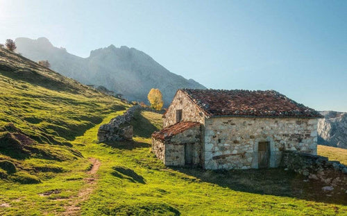 Komar Picos de Europe Alm Vlies Fototapete 450x280cm 9 bahnen | Yourdecoration.de