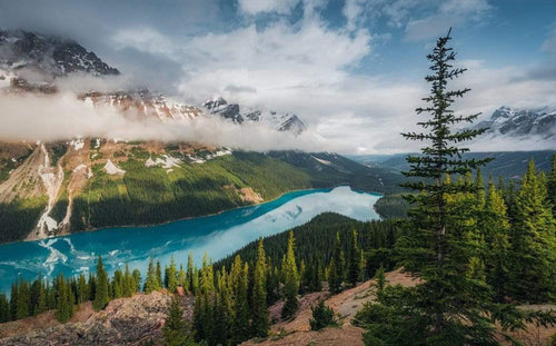Komar Wonderland Canada Vlies Fototapete 450x280cm 9 bahnen | Yourdecoration.de