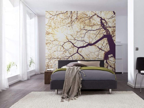 Komar Sunshine Fototapete 250x250cm 5 bahnen Sfeer | Yourdecoration.de