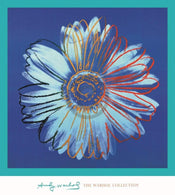 Andy Warhol Daisy 1982 Kunstdruck 90x90cm | Yourdecoration.de