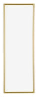 Annecy Kunststoff Bilderrahmen 37 5x98cm Gold Vorne | Yourdecoration.at