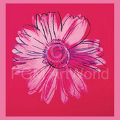 Andy Warhol Daisy 1982 Kunstdruck 90x90cm | Yourdecoration.de