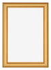 Bilderrahmen 61x91 5cm Gold Matt MDF Lazio Vorne | Yourdecoration.at