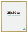 Annecy Kunststoff Bilderrahmen 25x30cm Gold Vorne Messe | Yourdecoration.at