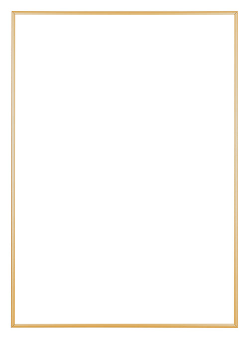 Austin Aluminium Bilderrahmen 35x50cm Gold Vintage Vorne | Yourdecoration.at