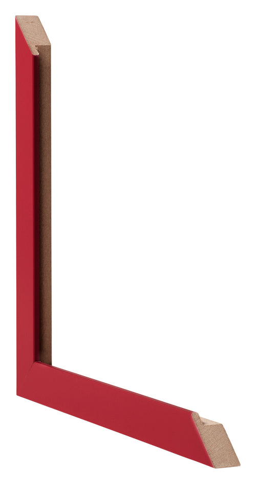 Bilderrahmen 20x60cm Rot MDF Bologna Detail Querschnitte | Yourdecoration.at