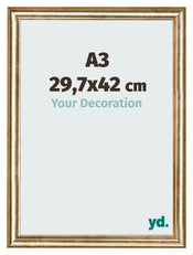 Bilderrahmen 29 7x42cm A3 Gold Antik MDF Lazio Vorne Messe | Yourdecoration.at
